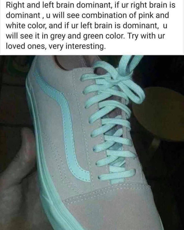 312f5465fbb411790a98d985dbbd59fe.jpg