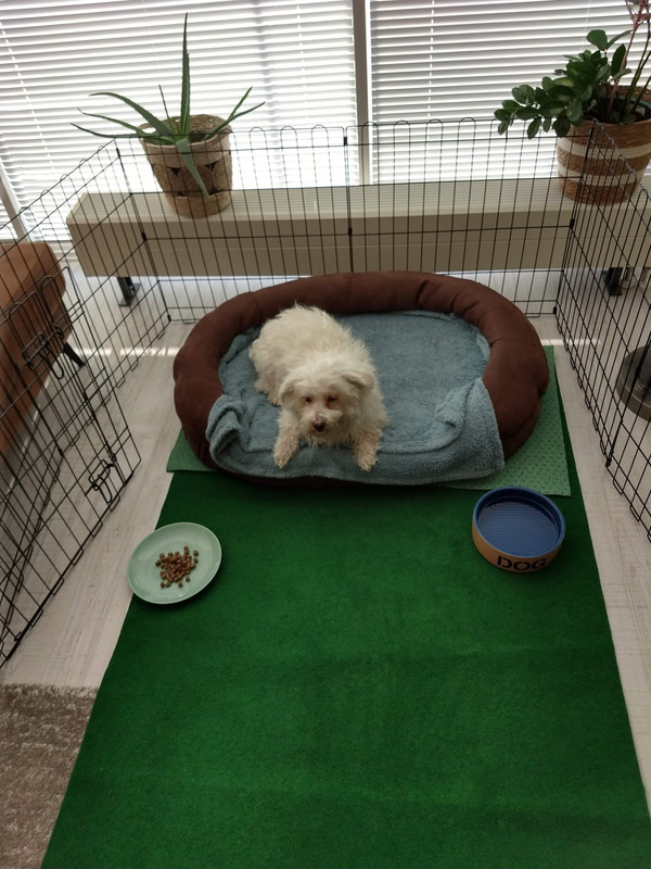 IMG_20220124_155011911_HDR