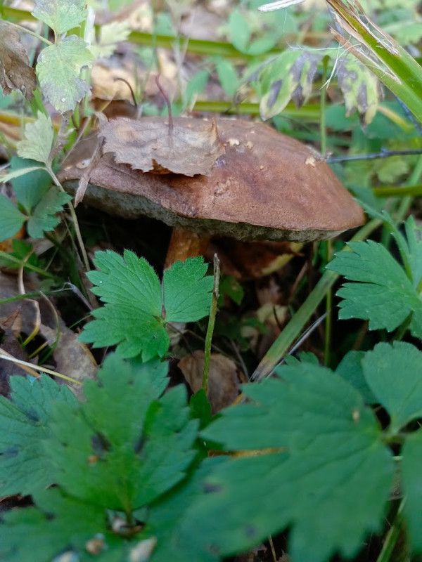 IMG_20230930_181409_516