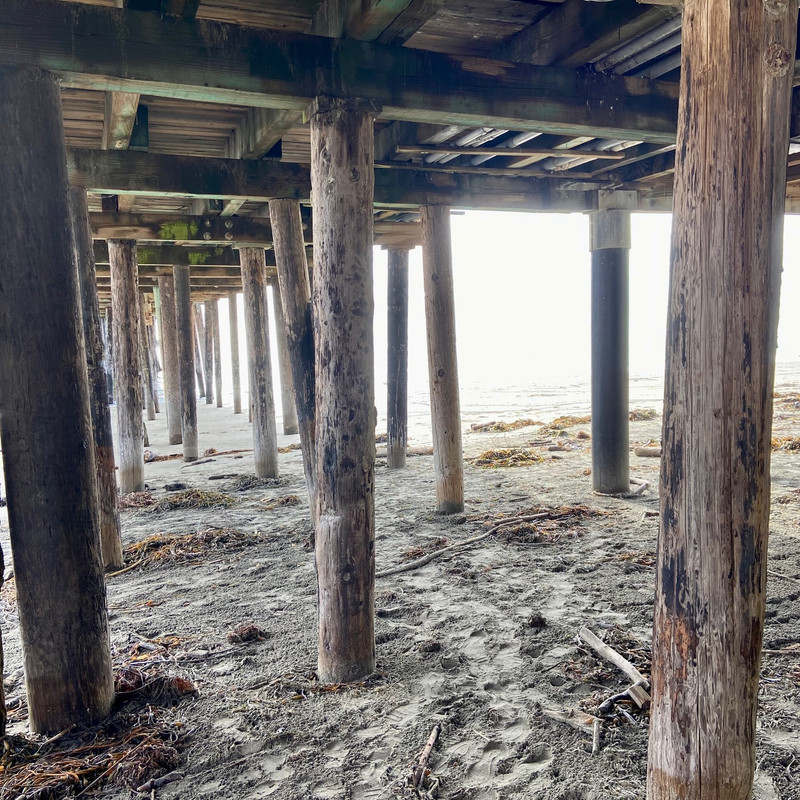 5449B30C-F060-4B77-A397-CEA995586202