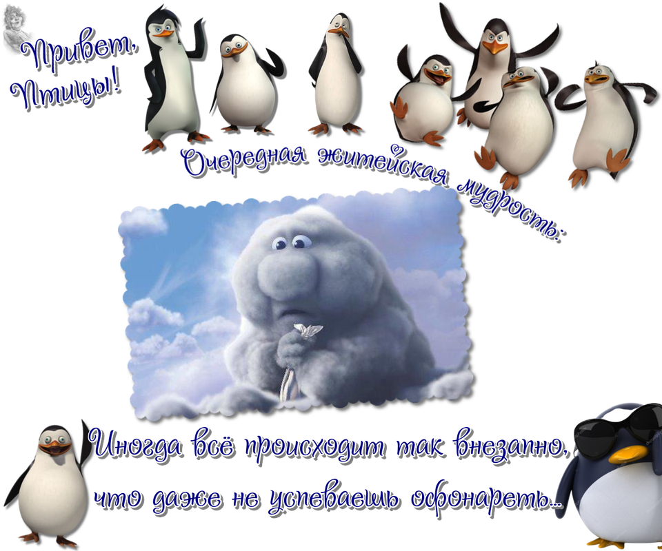 https://i.postimg.cc/HLvFbMbR/06-04.png