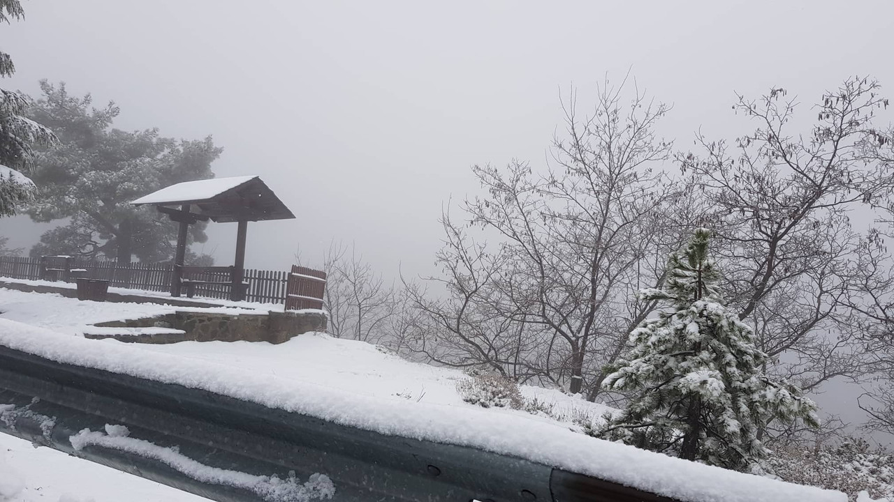 troodos4