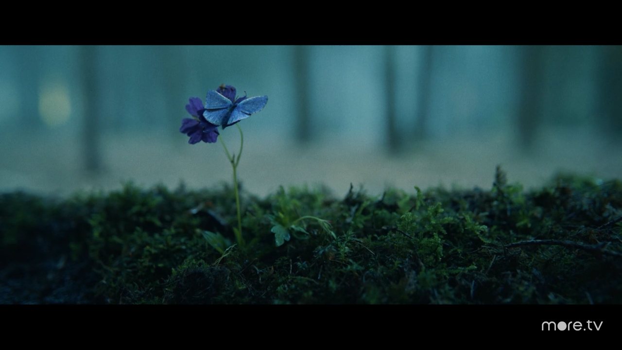 Снимок экрана (501)