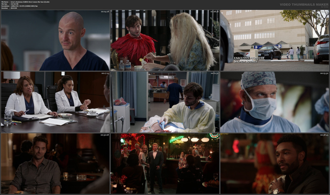 Grey's Anatomy S18E01 Here Comes the Sun (2).mkv