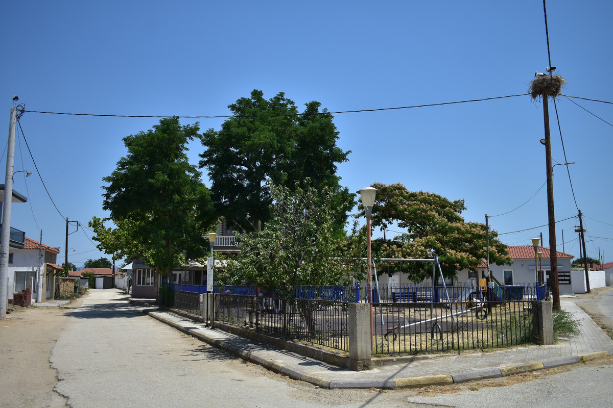 Αμάραντα (4)