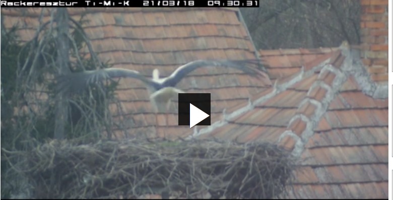 2021-03-18_090028 érkezik