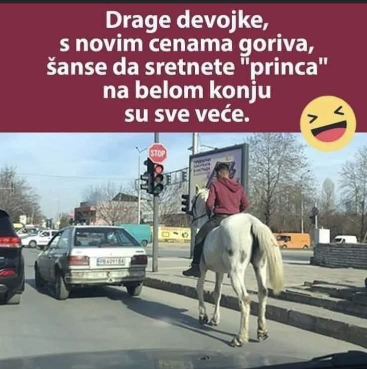 FB IMG 1774004331422
