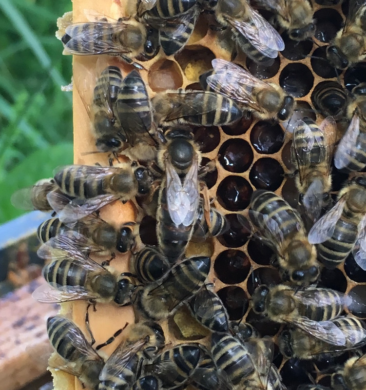 ABB41281-414C-4013-8991-72D214D807B1