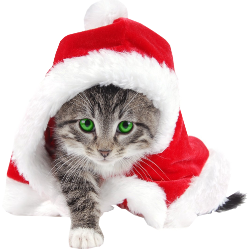 Siempre Libre & Glitters y Gifs Animados Nº334 - Página 29 753715catwearingchristmashat