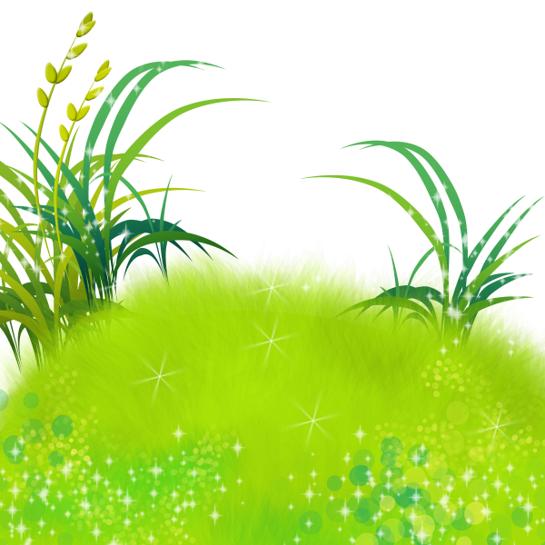 Beetle dance15