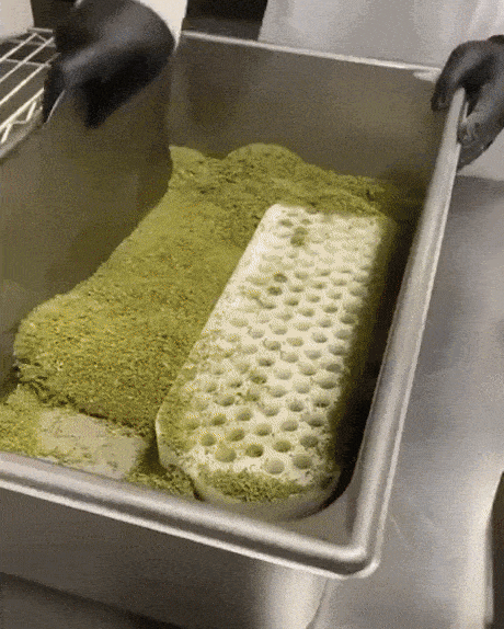 https://i.postimg.cc/HLwB7G4P/7.gif