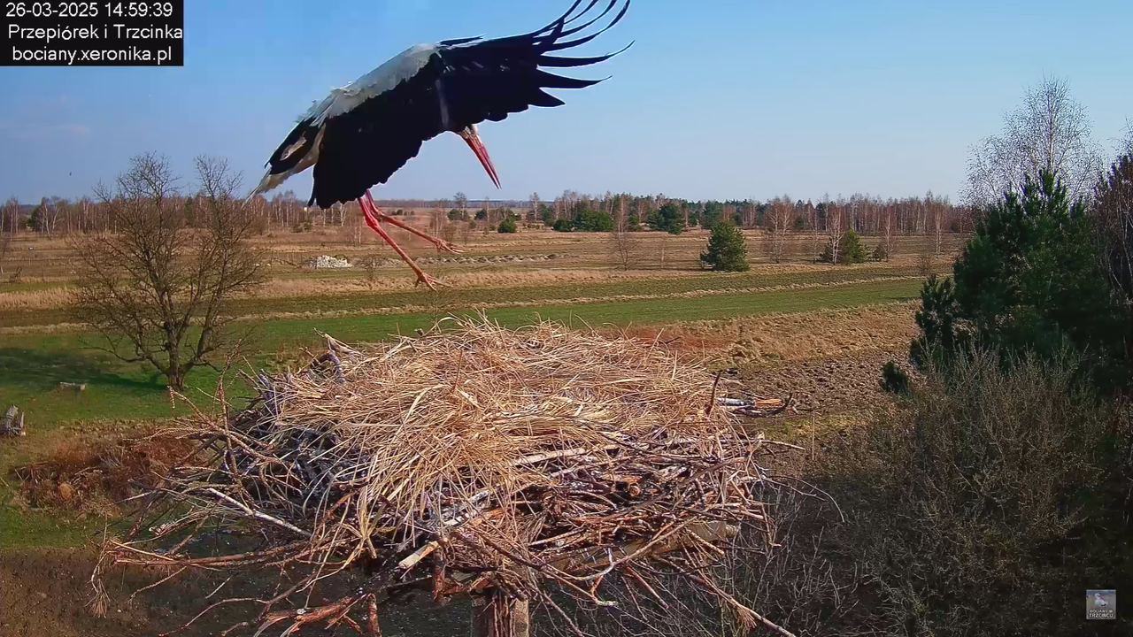 26032025Wpada bocius_5