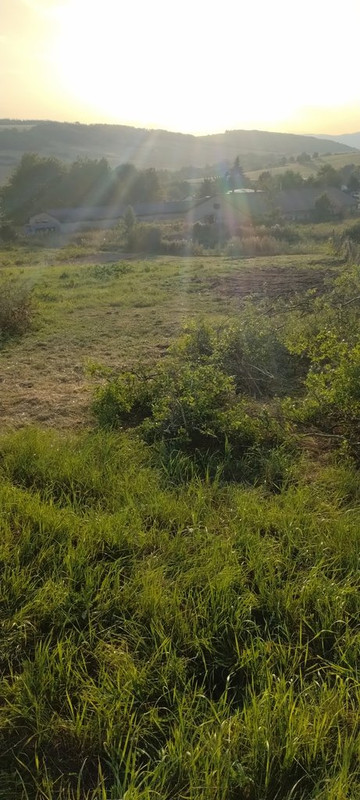 IMG-bdc8bfd367bad32e8398a445da81abb4-V