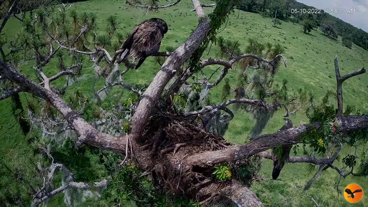 EC 4K Overhead Cam 12-32-35 screenshot