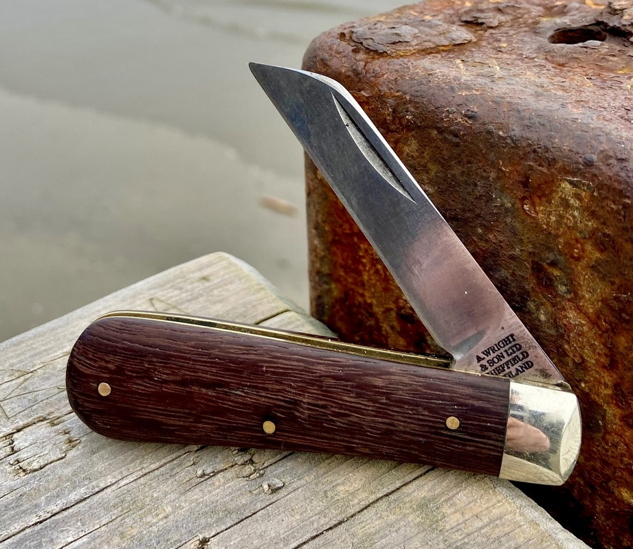 CF8A8D66-3453-4881-A625-89BBD83BA861_1_201_a