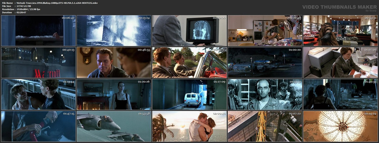 Vietsub-True-Lies-1994-Blu-Ray-1080p-DTS-HD-MA-5-1-x264-BOOTLEG-mkv.jpg