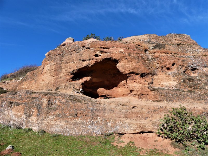 YACIMIENTO ARQUEOLOGICO DE TIERMES-16-2-2020 - Soria y sus pueblos-2010/2013/2020 (50)
