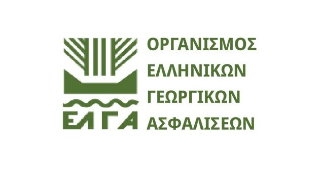 κοζάνη, ειδήσεις, νέα, Πτολεμαΐδα