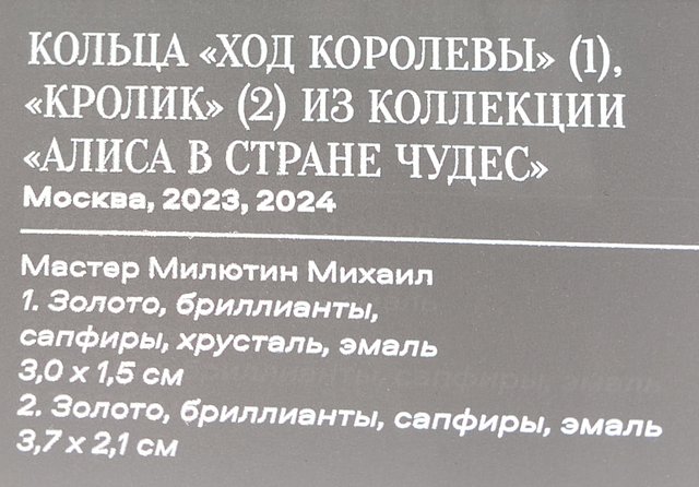 https://i.postimg.cc/HLx6G6tj/204-IMG-20241031-113008.jpg