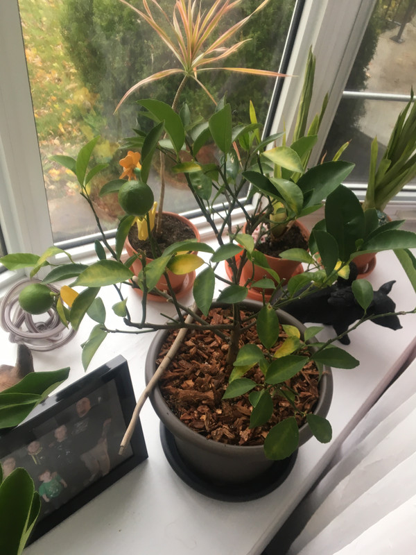 E4F08711-5939-451D-AE3F-A00DB7D082CD