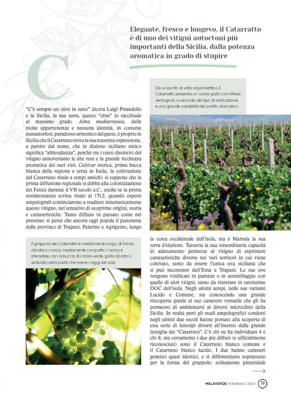 melaverde Feb 2023 (10)