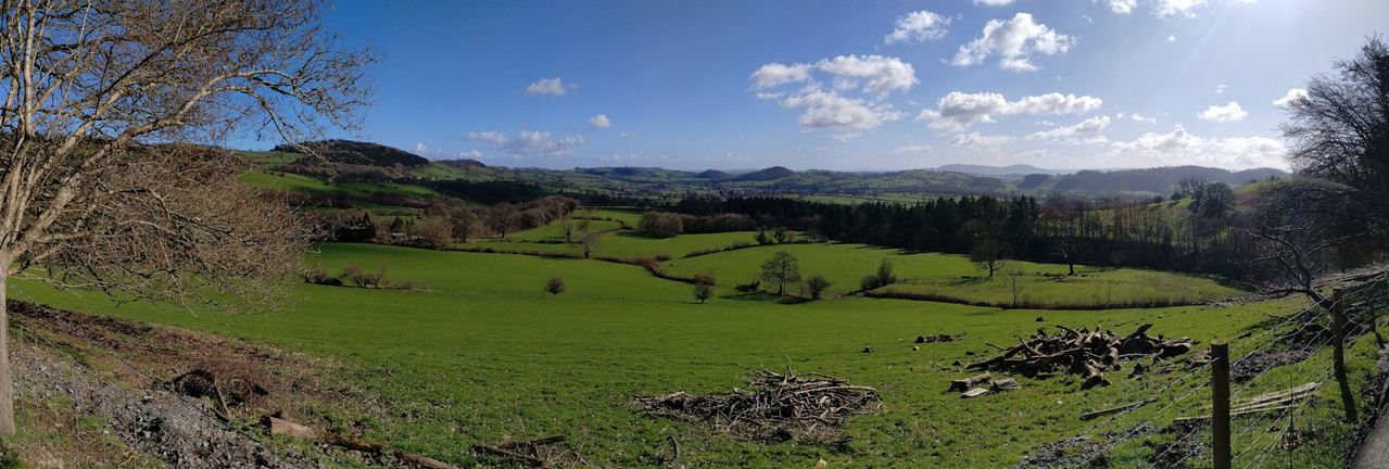 Walk14Mawrth (10) rszd