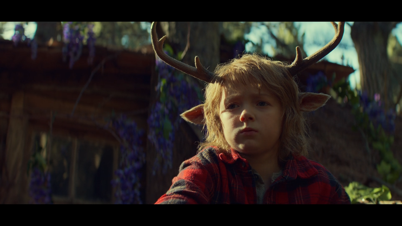 Sweet.Tooth.S01E01.Fuori.Dalla.Foresta.iTALiAN.MULTi.1080p.WEB.x264-MeM.mkv_snapshot_45.41_[2021.06.