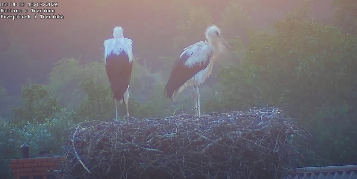 zmoklaknaczelnykraju