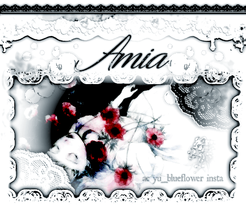 Amia