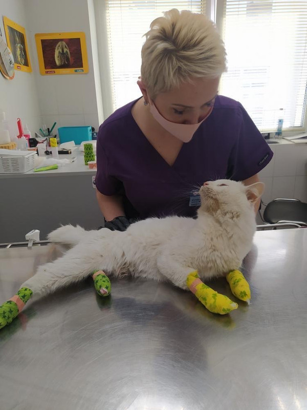 A1B6FB59-7CC0-4EDC-BEFC-C3C5D89D4E7A