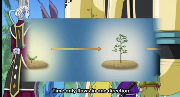 Picture1.png