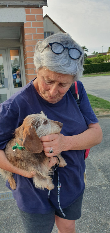 [Image: 20230628-192659.jpg]