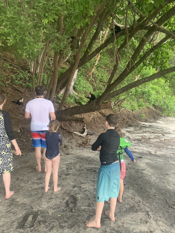 C58E1A90-025C-42A3-8BD2-C8DE60B9754C