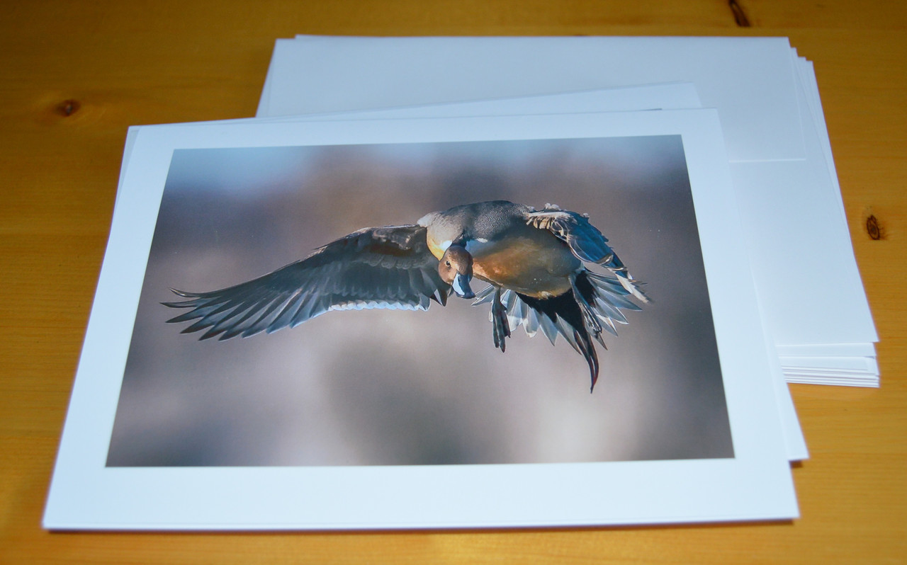 2019-12-6 Wu Pics (4)