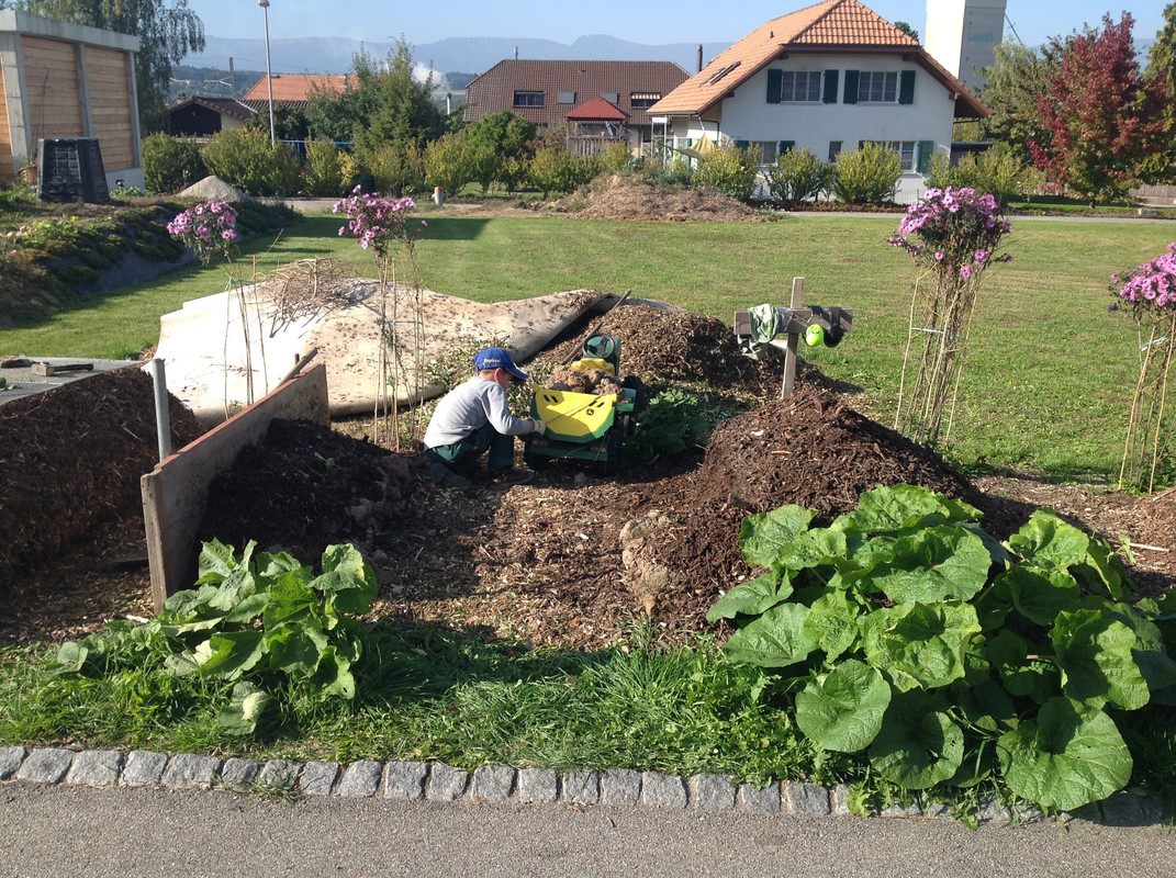 Kompostmiete Aus Drei mach Eins 2.Okt. 2015 (6)