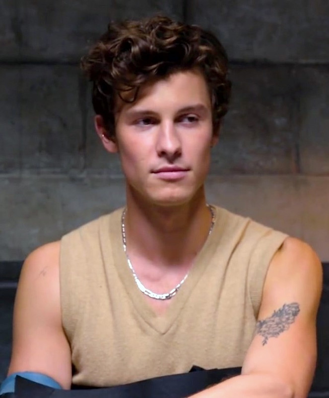 Shawn-Mendes-takes-a-lie-detector-test.j