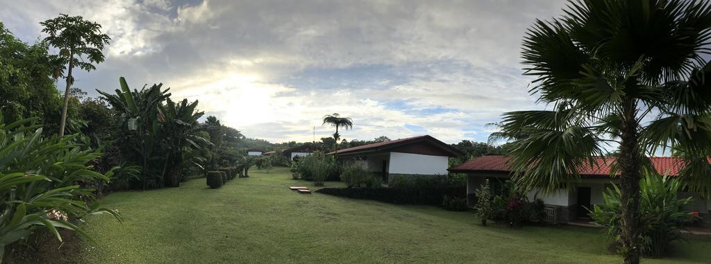 DE TORTUGAS Y PEREZOSOS. COSTA RICA 2019 - Blogs de Costa Rica - DIA 9: CAVERNAS DE VENADO (41)