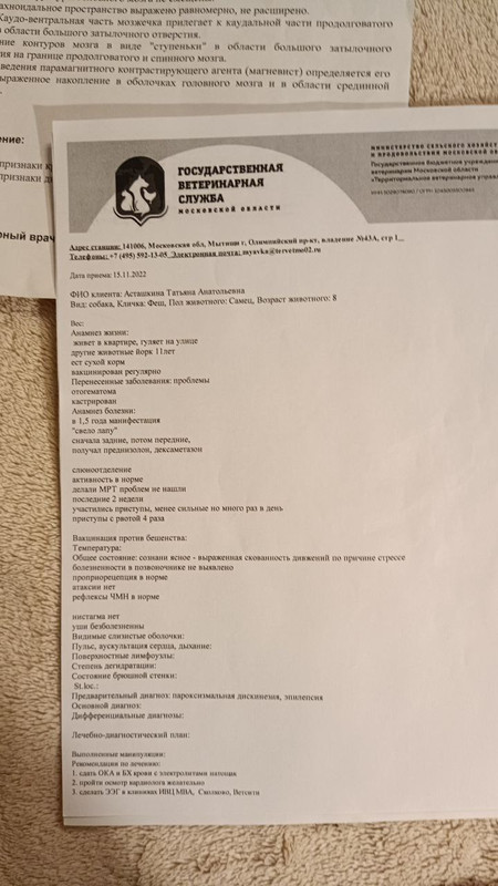 невролог1