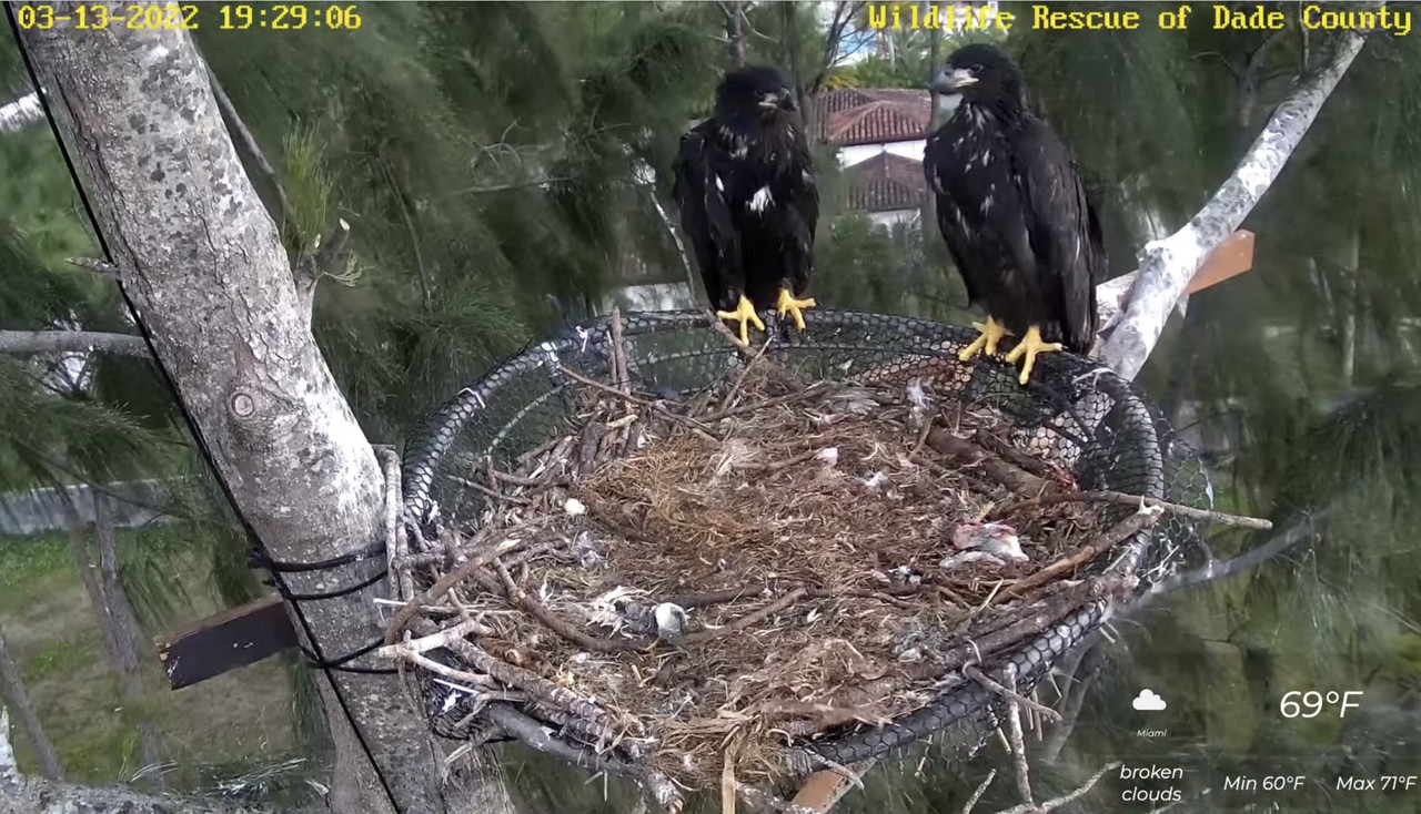 BBEB313F-6981-4E9E-A05C-0CBFB1ED6FA2