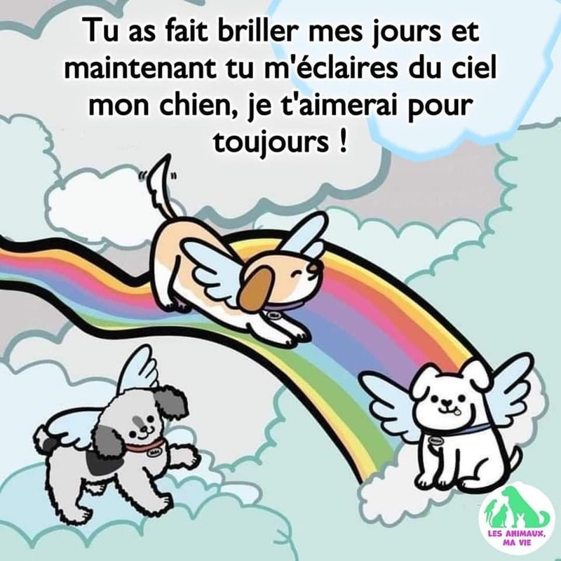 [Image: 38366-C05-ABE6-4-A07-8-B9-F-95887-D6-BE5-D8.jpg]