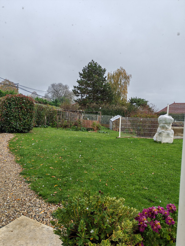 [Image: IMG-20251120-130210.jpg]