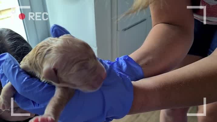 [Image: 5cgh03sc2vgq.jpg]