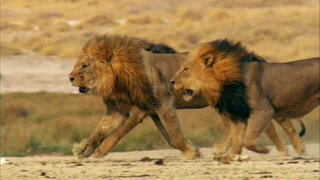 [Image: 2mms7ufg47xu.jpg]