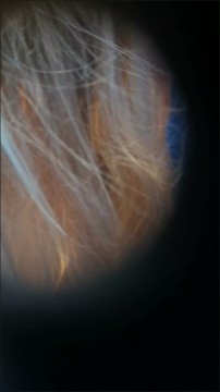 [Image: Voyeur3005155009.jpg]