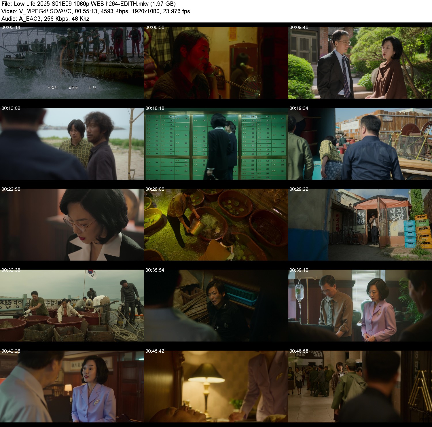 [Image: 3s2so2jsxh0r.jpg]