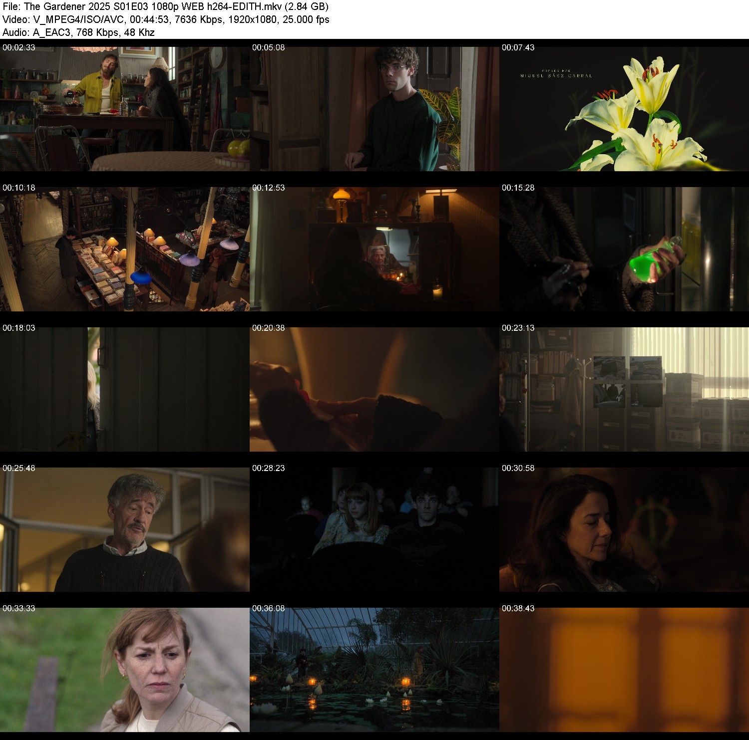 [Image: khu2739mtlgo.jpg]