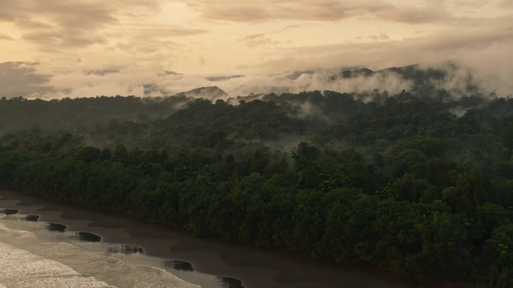 [Image: 2ue68dbuoep8.png]