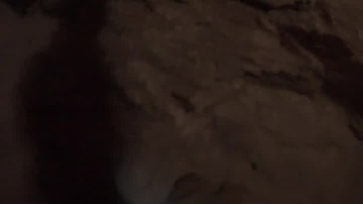 [Image: 3ygo3w6tumh0.jpg]