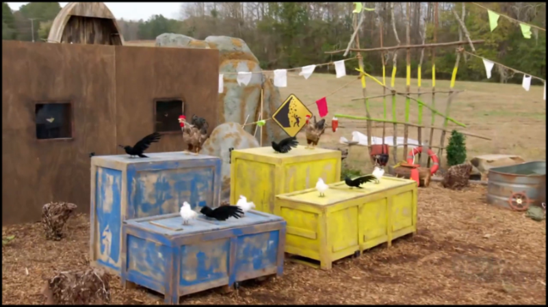 [Image: wsnvsw-4x544x.png]