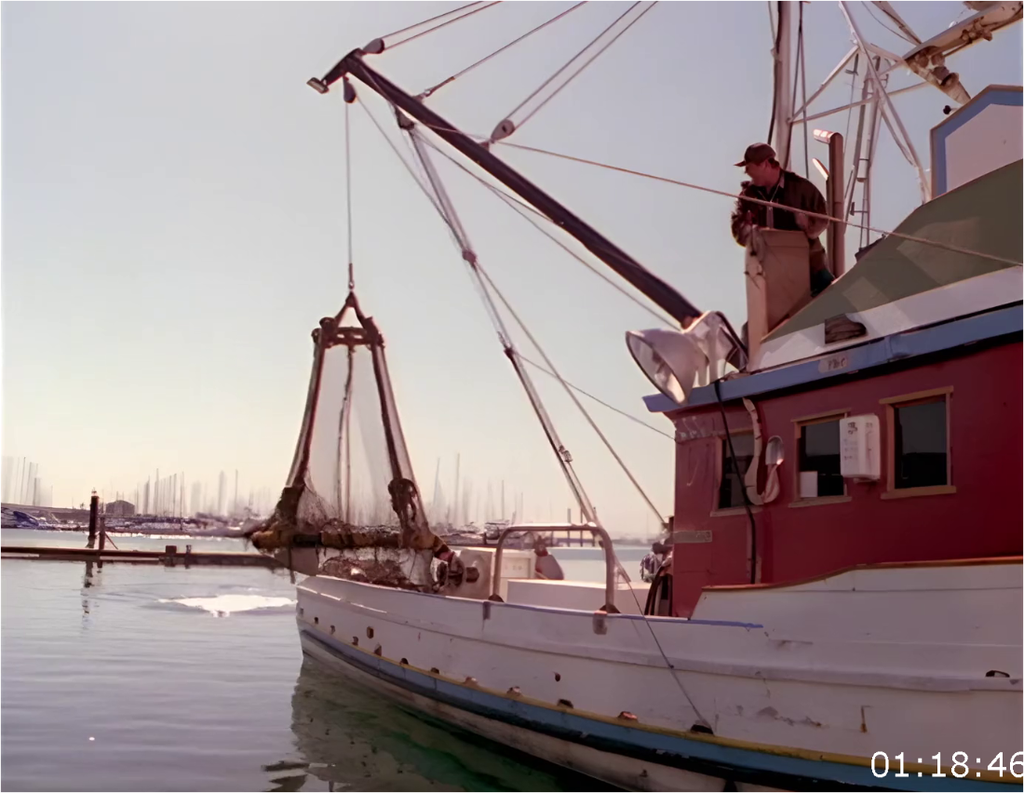 [Image: 8od504znupig.png]